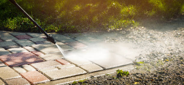 Best Building Exterior Washing  in Fair Plain, MI